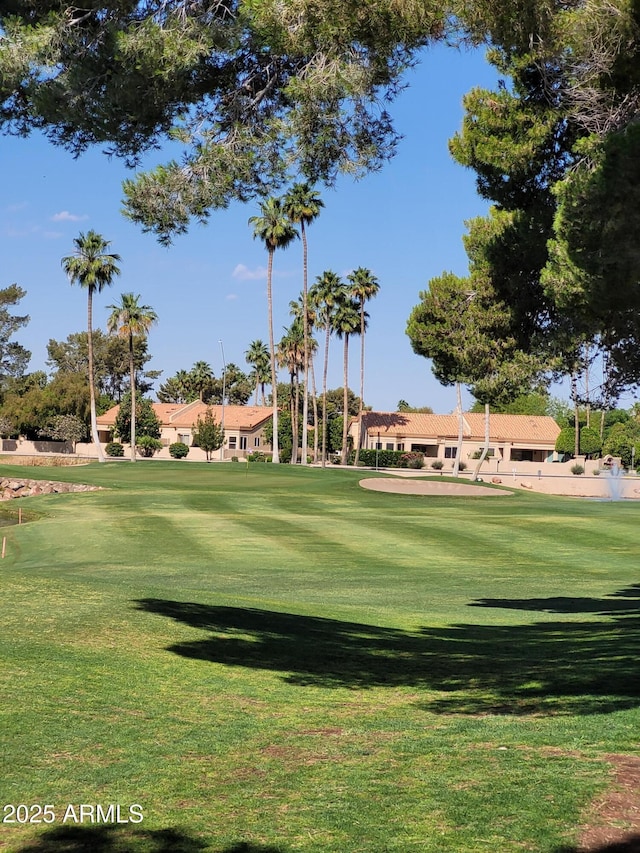 view of property's community with a yard