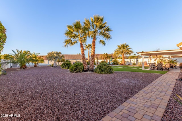 view of yard with a patio area