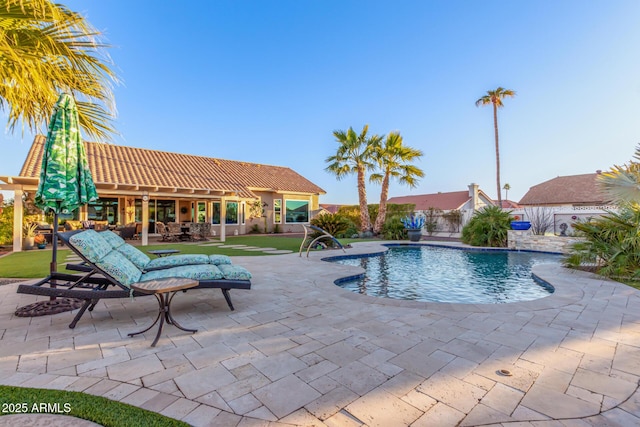 view of pool featuring a patio