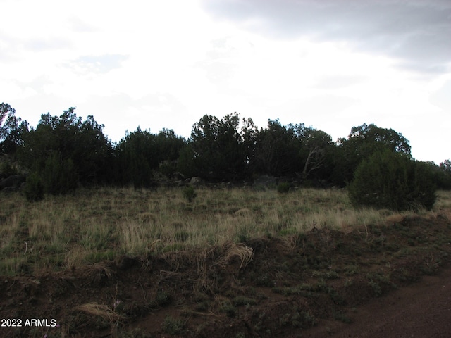 Listing photo 3 for 21 County Road 8001 277 & 278, Concho AZ 85924