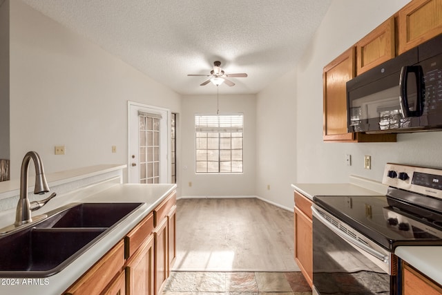 kitchen featuring ceiling fan, sink, light hardwood / wood-style flooring, a textured ceiling, and stainless steel range with electric cooktop