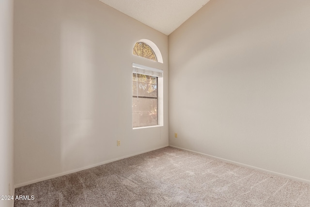 empty room with carpet and high vaulted ceiling