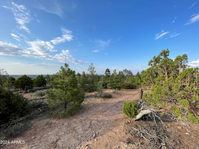 Listing photo 3 for 0 E 260th Hwy -, Unit Show Low AZ 85901