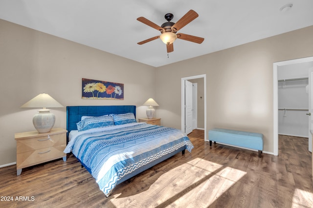 bedroom featuring dark hardwood / wood-style floors, ceiling fan, a walk in closet, and a closet