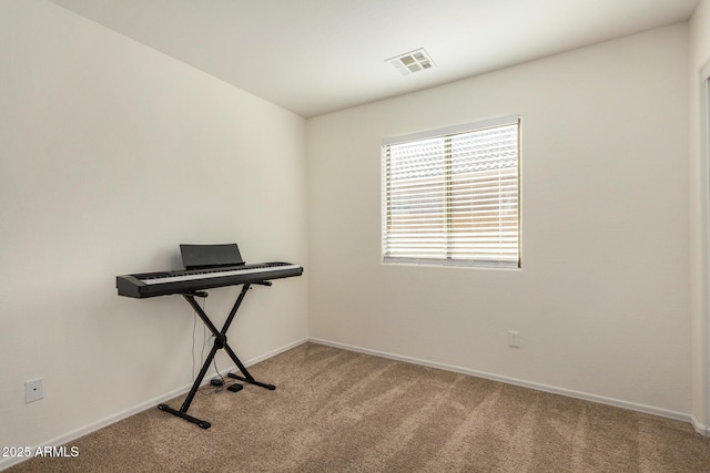 misc room featuring carpet flooring