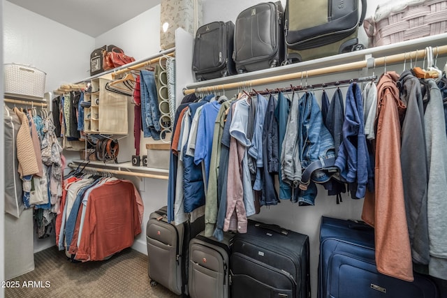 walk in closet with carpet floors