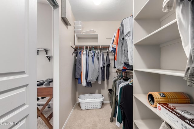 spacious closet featuring light carpet