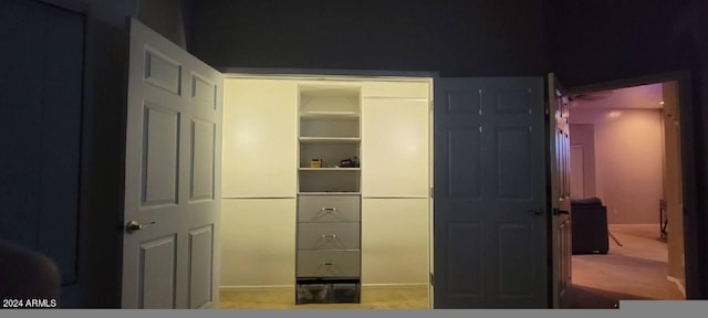 view of closet