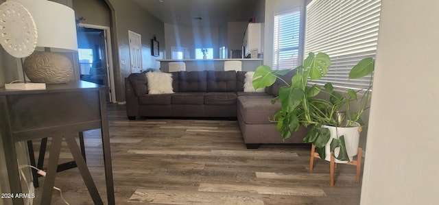 living room featuring hardwood / wood-style flooring