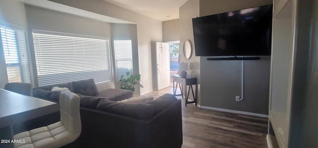 living room with hardwood / wood-style floors