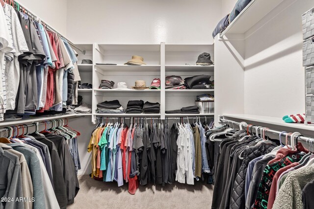 spacious closet with carpet floors