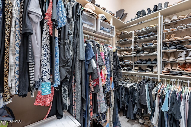 spacious closet with carpet floors