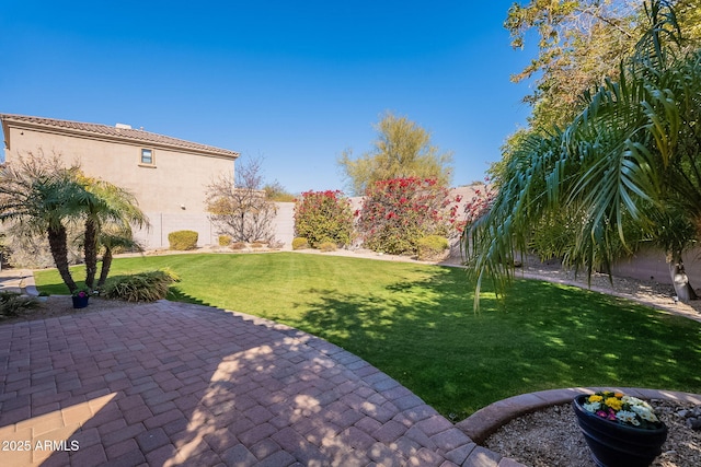 view of yard featuring a patio area