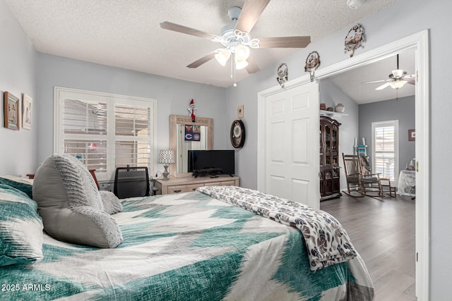 5221 W Garden Dr, Glendale, AZ 85304 - bedroom with ceiling fan, a textured ceiling, and wood finished floors