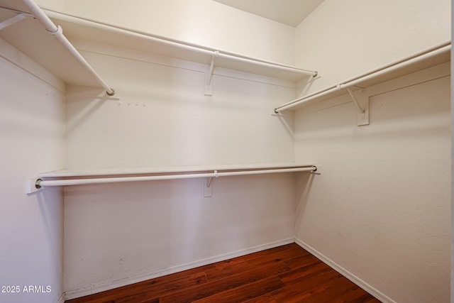 spacious closet featuring dark wood-type flooring