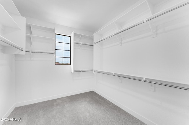 view of walk in closet