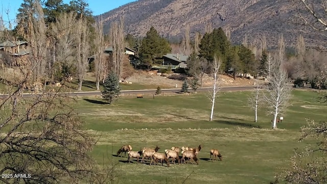 view of home's community featuring a rural view and a mountain view