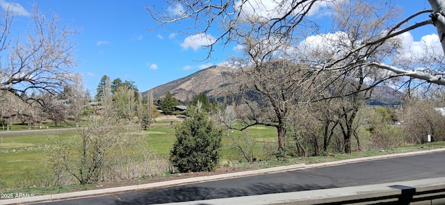 2600 N Valley View Rd Unit 102, Flagstaff, AZ 86004 - view of mountain background