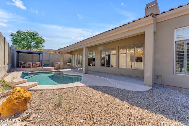 view of pool with a patio