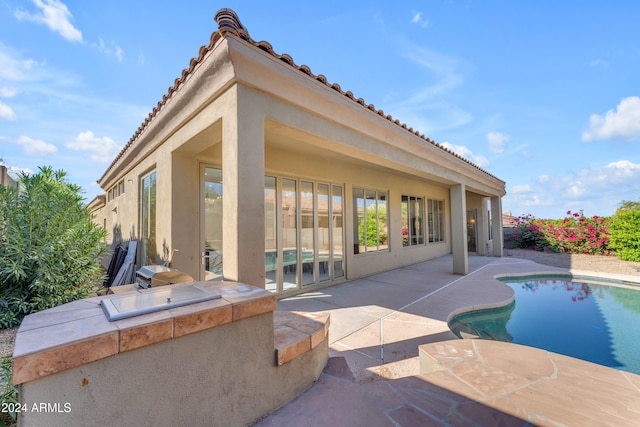 view of pool with a patio and exterior kitchen