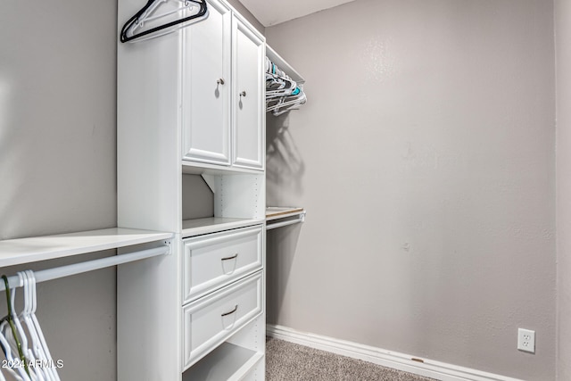 walk in closet with light colored carpet