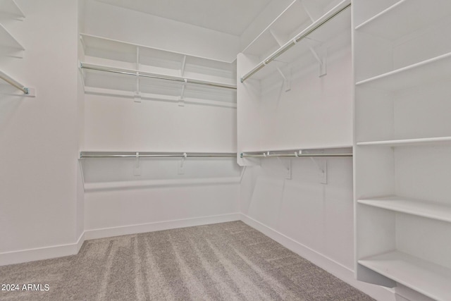 walk in closet featuring carpet floors