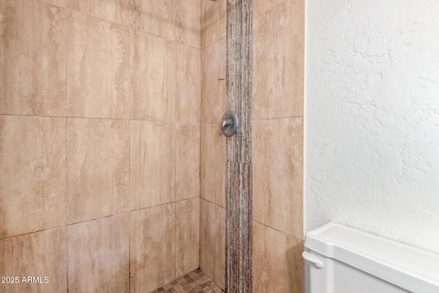 interior details with toilet and a tile shower