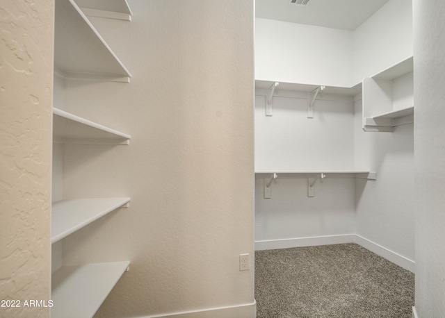 spacious closet with carpet flooring