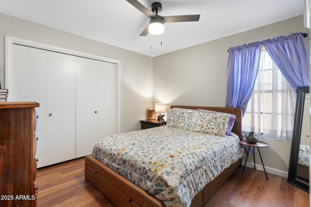 7503 W Julie Dr, Glendale, AZ 85308 - bedroom featuring wood finished floors, a closet, baseboards, and ceiling fan