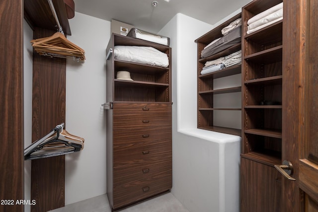 view of walk in closet