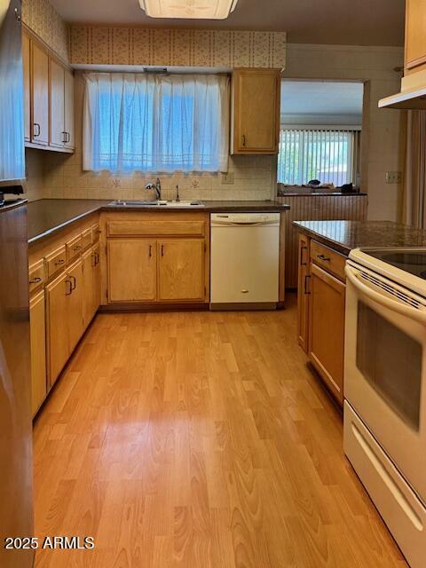 kitchen featuring tasteful backsplash, white appliances, sink, and light hardwood / wood-style flooring