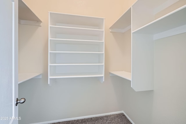 12333 W Marshall Ave, Litchfield Park, AZ 85340 - walk in closet with carpet