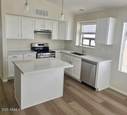 12333 W Marshall Ave, Litchfield Park, AZ 85340 - kitchen with white cabinets, under cabinet range hood, visible vents, stainless steel appliances, and a sink