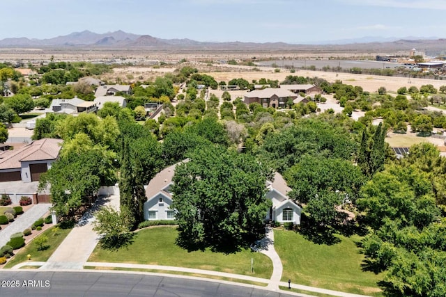 3750 E Palm St, Mesa, AZ 85215 - aerial view of residential area featuring mountains