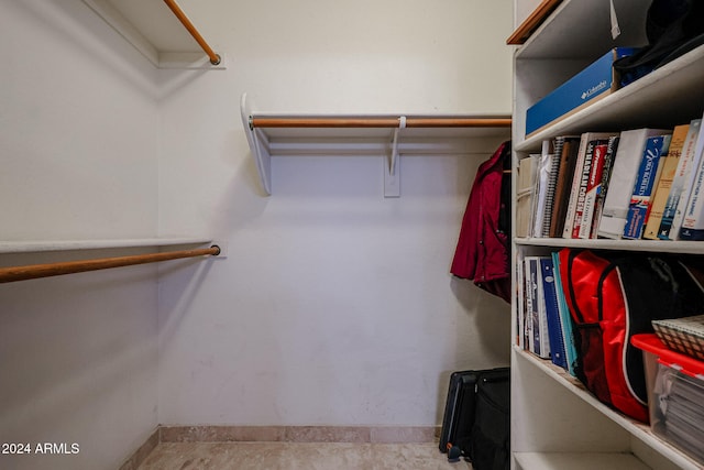 view of spacious closet