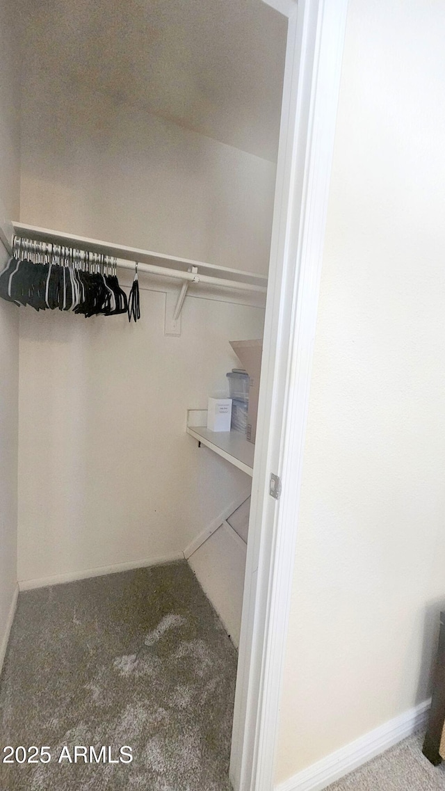 14620 N Yerba Buena Way Unit B, Fountain Hills, AZ 85268 - walk in closet with carpet floors