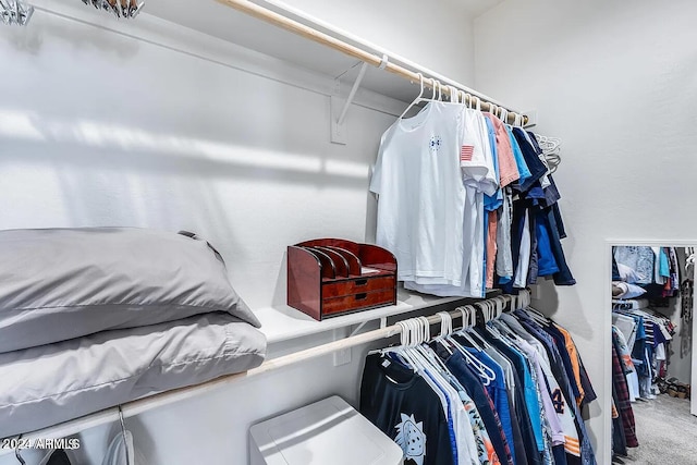 spacious closet with carpet flooring