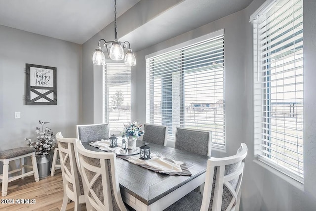 dining room featuring a notable chandelier, plenty of natural light, and wood-type flooring