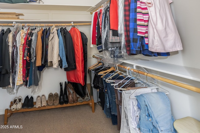 spacious closet featuring carpet floors