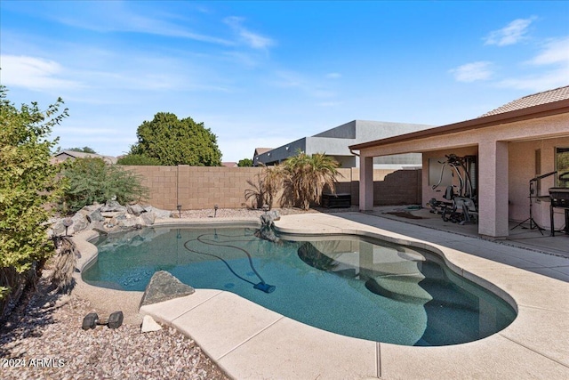 view of pool with a patio