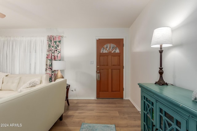 foyer entrance with light hardwood / wood-style flooring