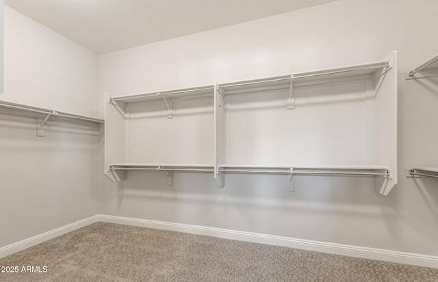 walk in closet with carpet