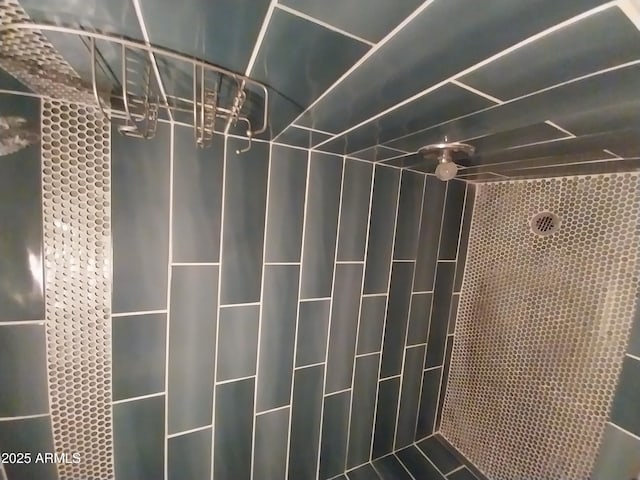 8649 E Royal Palm Rd Unit 213, Scottsdale, AZ 85258 - bathroom view of tiled shower