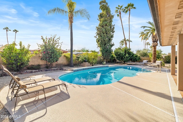 view of pool with a patio area