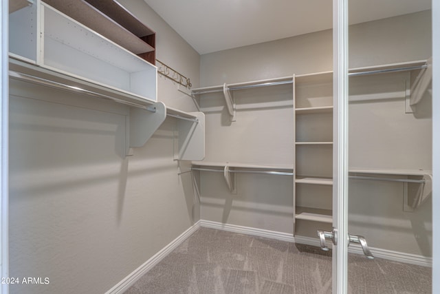 spacious closet with carpet