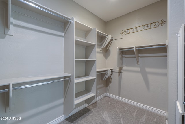 spacious closet featuring carpet floors