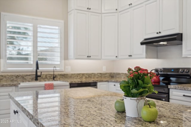 23705 N Chaps Dr, Florence, AZ 85132 - kitchen with electric stove, under cabinet range hood, a sink, white cabinets, and light stone counters