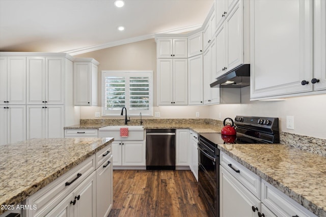 23705 N Chaps Dr, Florence, AZ 85132 - kitchen featuring black range with electric stovetop, under cabinet range hood, dishwasher, a sink, and recessed lighting