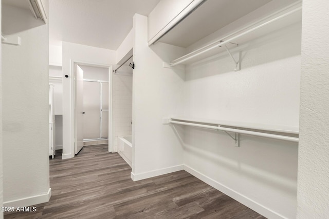 830 E Gila Ln, Chandler, AZ 85225 - spacious closet with dark wood-style flooring