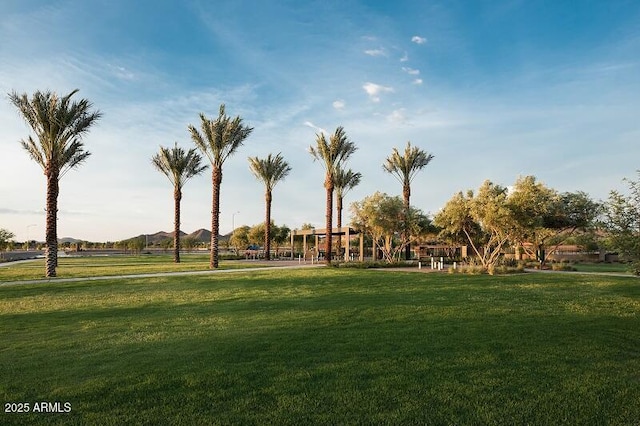 view of property's community with a lawn